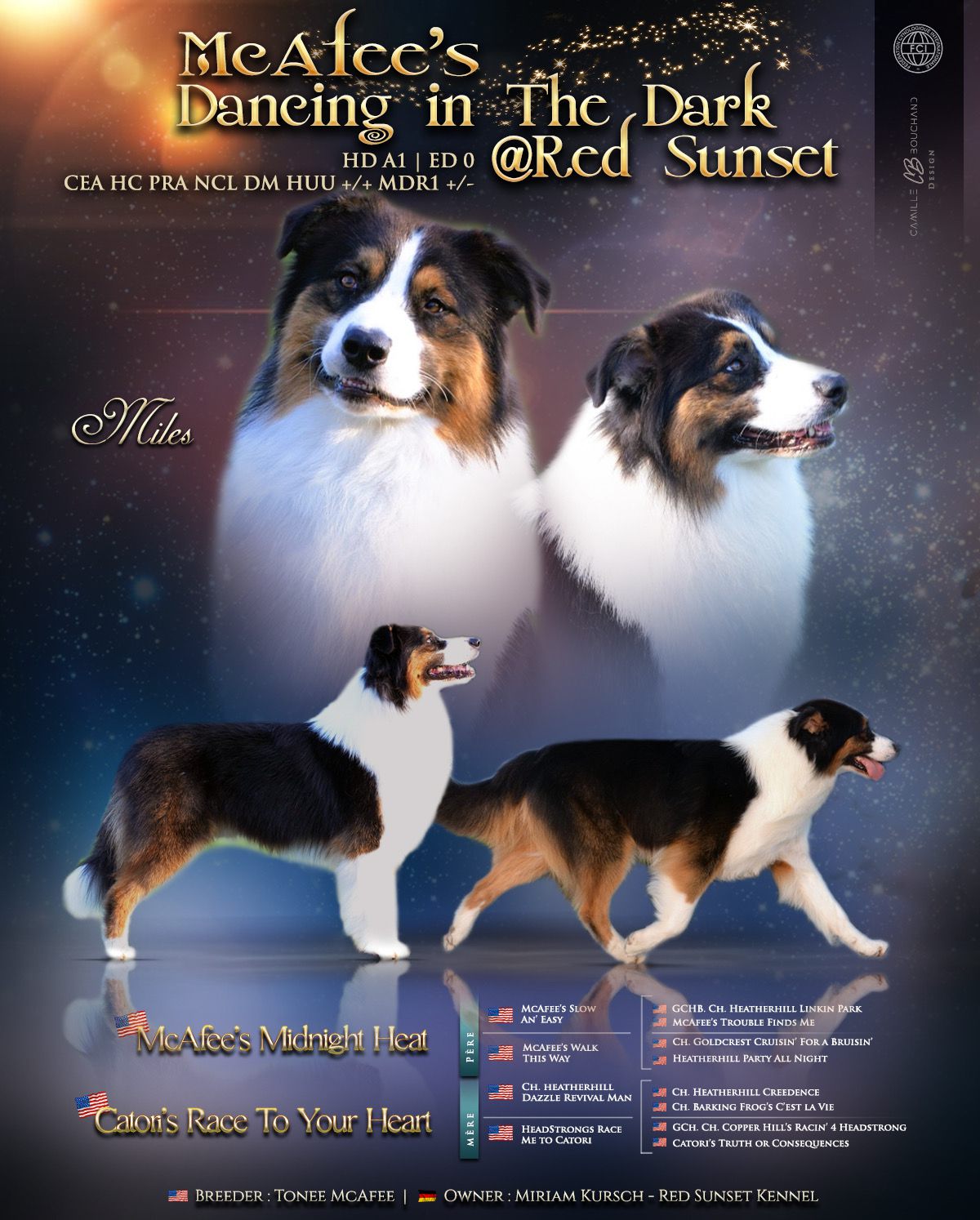 MC Afee`s Dancing in the Dark @ Red Sunset